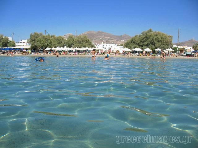 Naxos City Naxos Edem Studios & Apartments מראה חיצוני תמונה