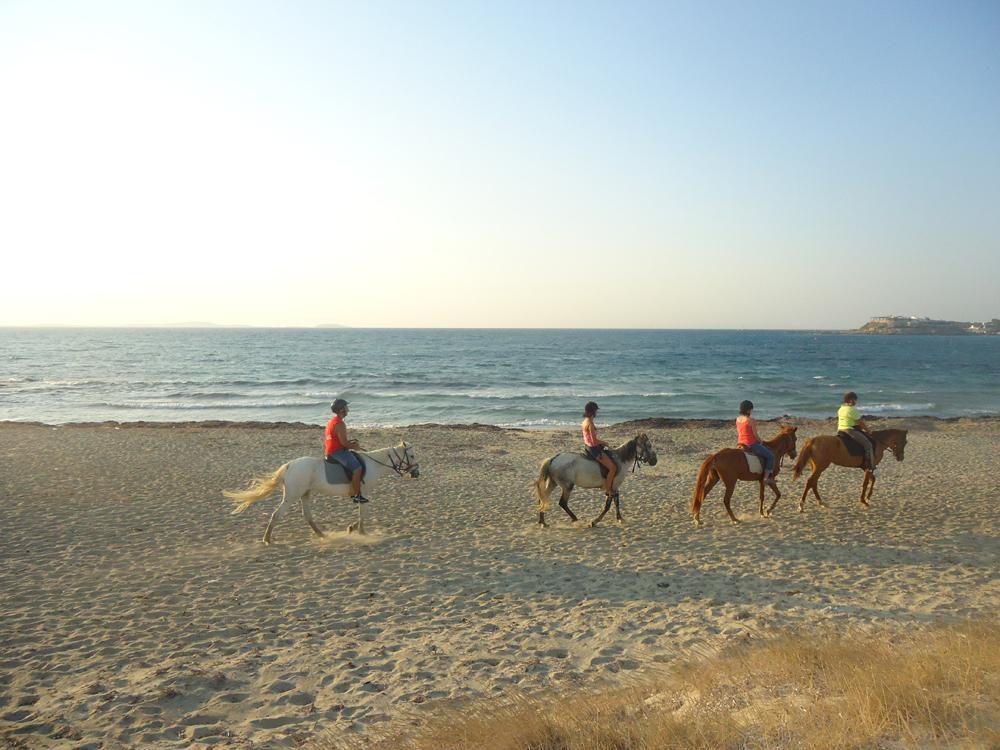 Naxos City Naxos Edem Studios & Apartments מראה חיצוני תמונה